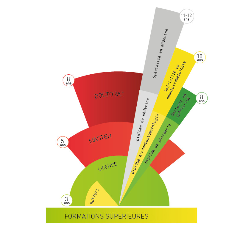 Schéma des études supérieures